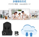 IP Cameras - VStarcam C29S